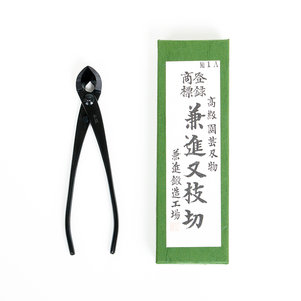 Konkavzange klein Kaneshin BonsaiWerkstatt