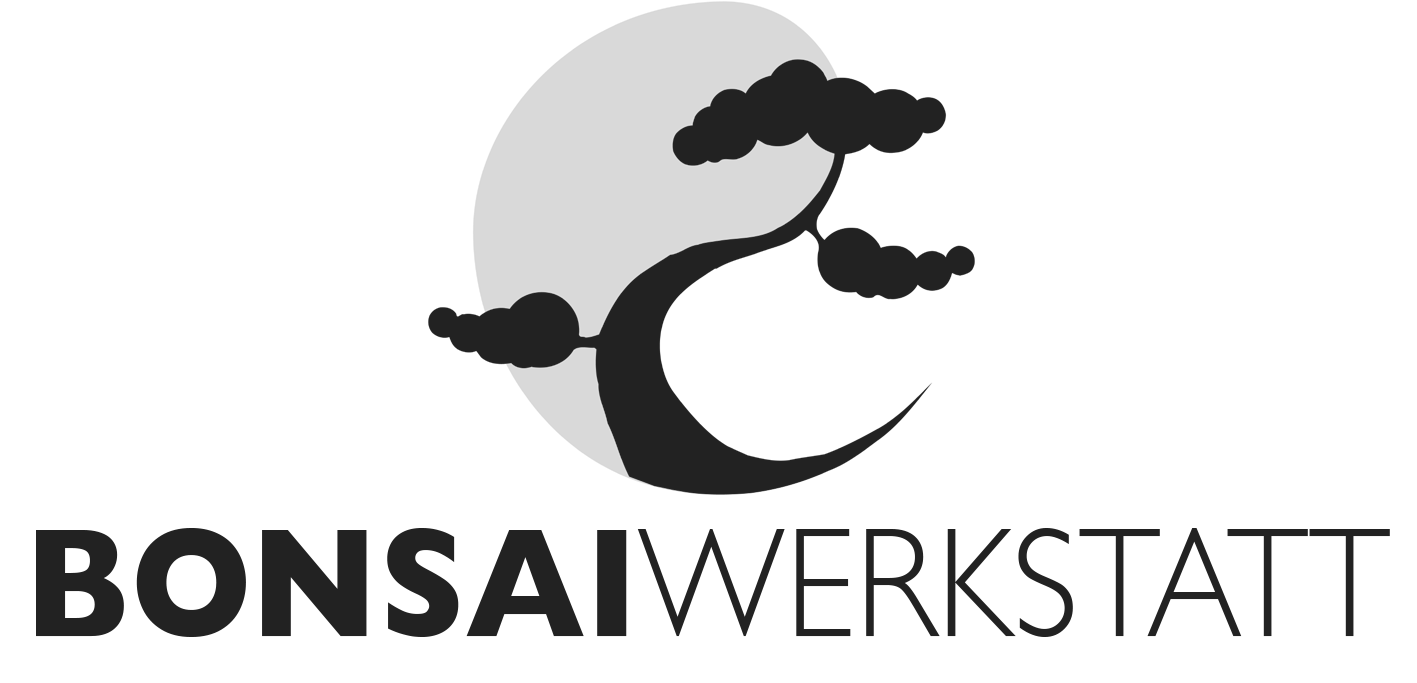 danish endurance bambus socken Bambus Sneakersocken | Weich, Atmungsaktiv & Rutschfest main image 0