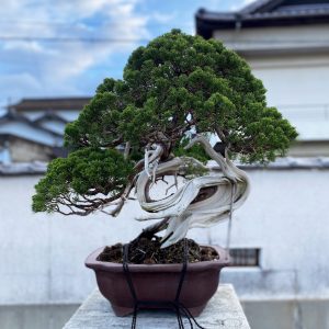 F7012D01-CD42-418F-BE56-A70EC1087E1D