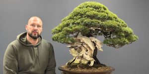 Mauro Stemberger neben einem Taxus cuspidata