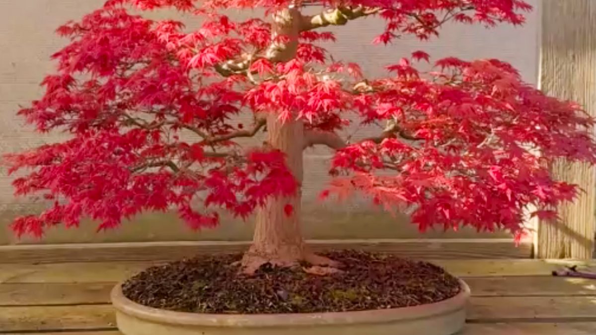 Tage der offenen Tuere