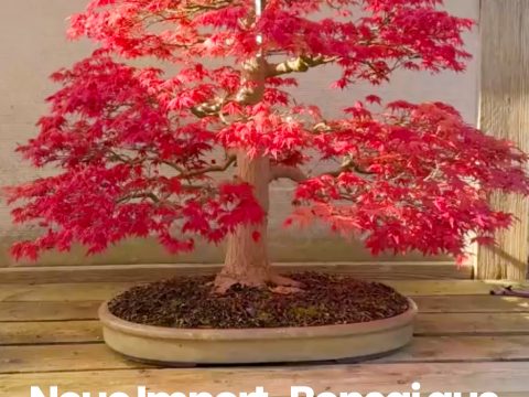 Tage der offenen Tuere